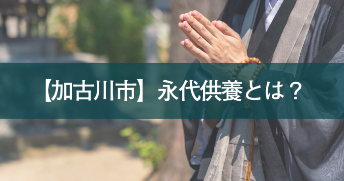 加古川市で永代供養をお考えの方へ｜現代の供養のかたちと樹木葬の魅力