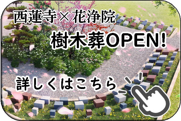 兵庫県姫路市近隣で樹木葬を考えるなら