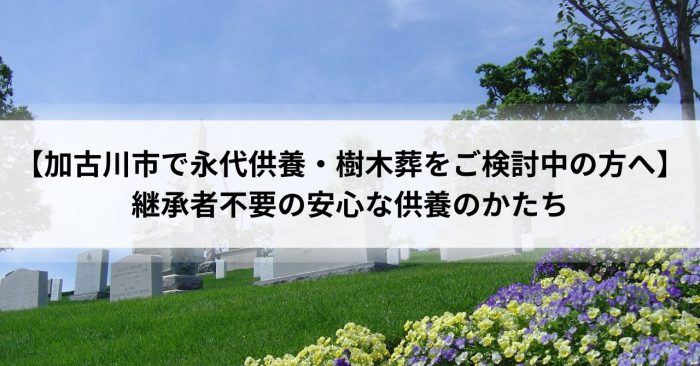 【加古川市で永代供養・樹木葬をご検討中の方へ】継承者不要の安心な供養のかたち