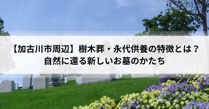 【加古川市周辺】樹木葬・永代供養の特徴とは？自然に還る新しいお墓のかたち